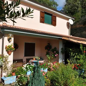 Mattale Tonara